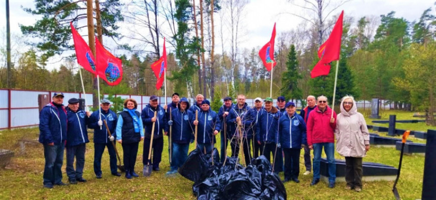 Щелковские ветераны присоединились к акции «Лес Победы»