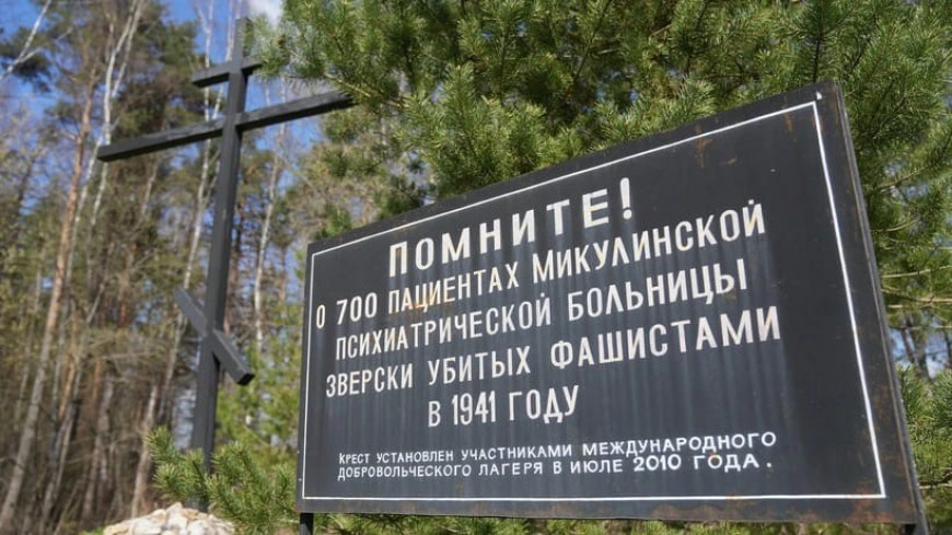 В селе Микулино ведутся раскопки захоронений жертв нацистского геноцида