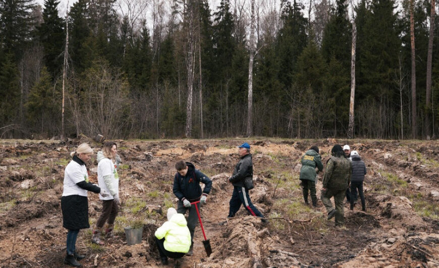Члены Щелковского «БОЕВОГО БРАТСТВА» участвовали в акции «Лес Победы»