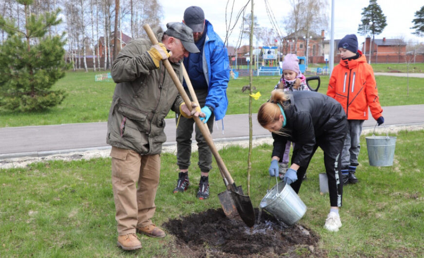 Волонтеры Электрогорского «БОЕВОГО БРАТСТВА» участвовали в акции «Лес Победы»