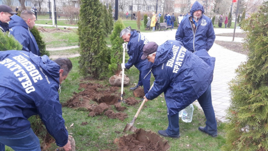 Ветераны Лосино-Петровского «БОЕВОГО БРАТСТВА» участвовали в акции «Лес Победы»