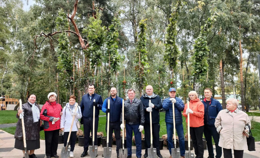 Более 40 деревьев и 171 кустарник высадили в сквере Ветеранов в Балашихе