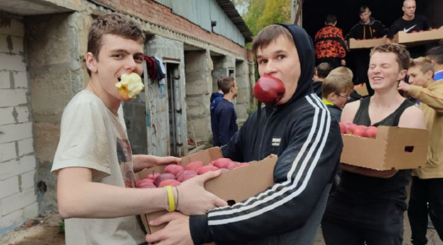 Восемнадцать тонн овощей и фруктов передали детям из ДНР ветераны из Балашихи