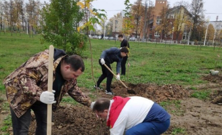 Представитель «БОЕВОГО БРАТСТВА» участвовал в акции «Наш лес. Посади свое дерево»