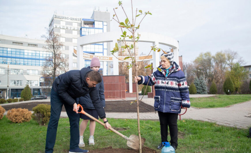 У Троицкого собора в Щелкове состоялась акция «Посади дерево»