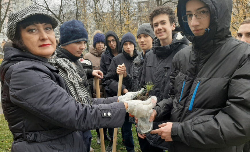 Экологическую акцию «Посади свой кедр» провели в Щелкове